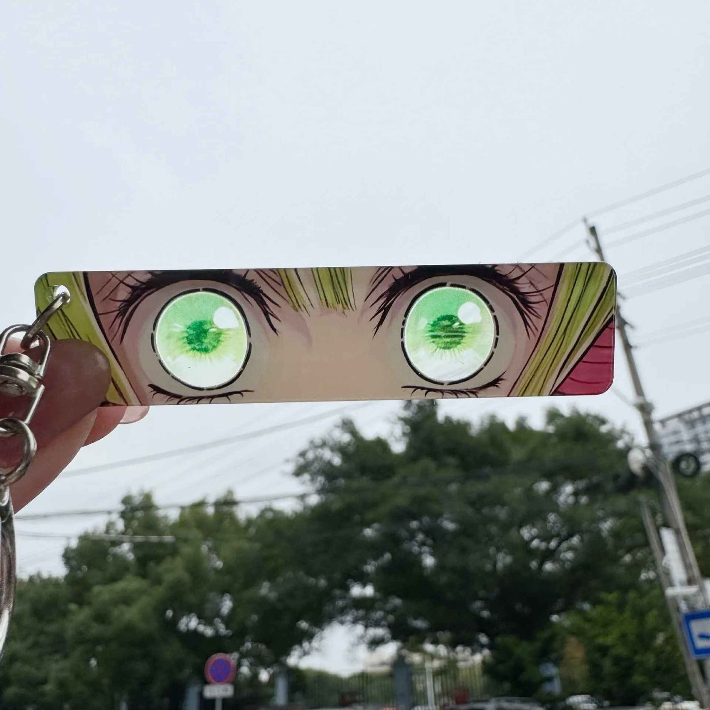 Demon Slayer Hashira Eye Collection