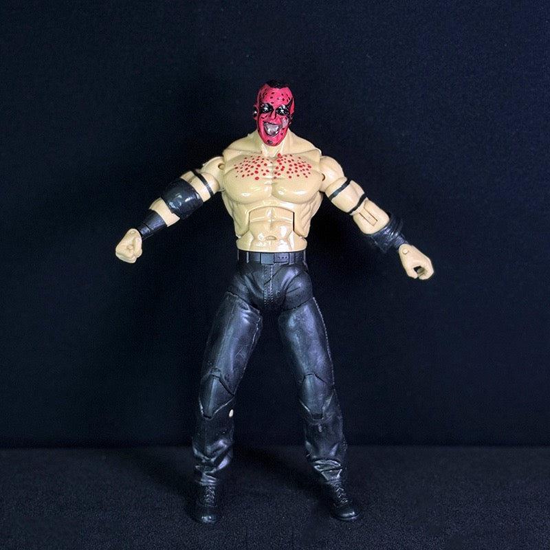 Legends of the Ring Pro Wrestler Action Figures – Articulated Wrestling Superstar Collectibles