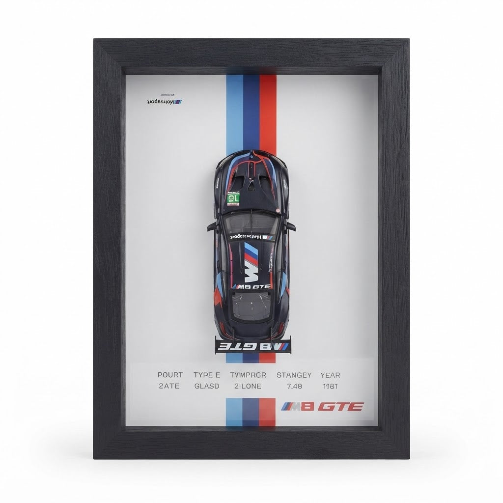 Collectible Automotive Shadow Box Display: BMW M GTE & 1970 Dodge