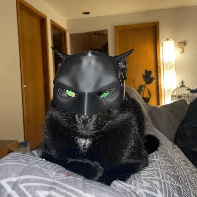Batman Vengeance Pet Mask – Matte Black Cinematic Cowl for Cats | Geekzilla