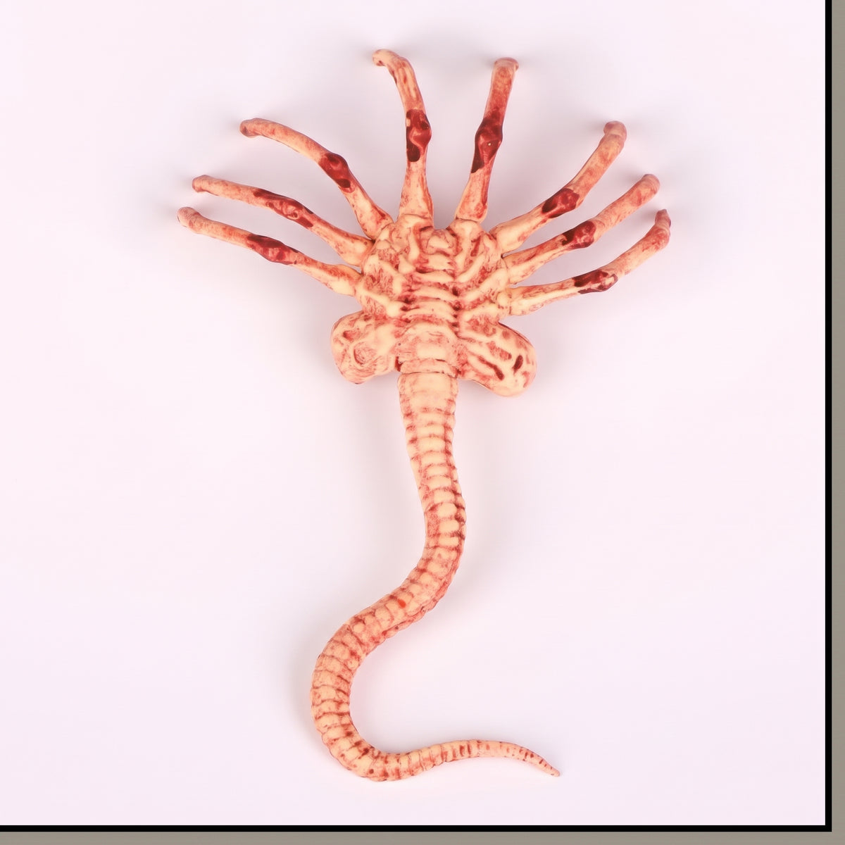 Alien: Covenant Facehugger Figure | Xenomorph Carded Prop Replica