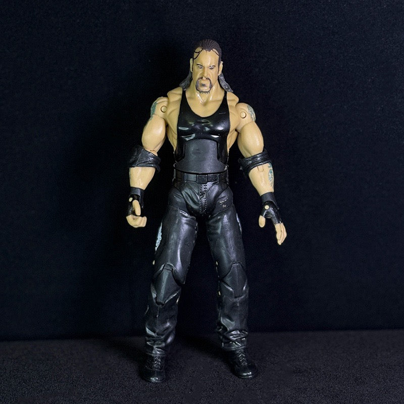 Legends of the Ring Pro Wrestler Action Figures – Articulated Wrestling Superstar Collectibles