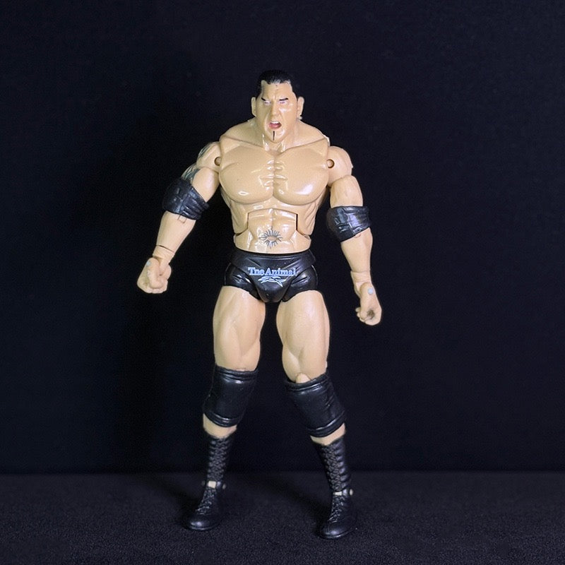 Legends of the Ring Pro Wrestler Action Figures – Articulated Wrestling Superstar Collectibles