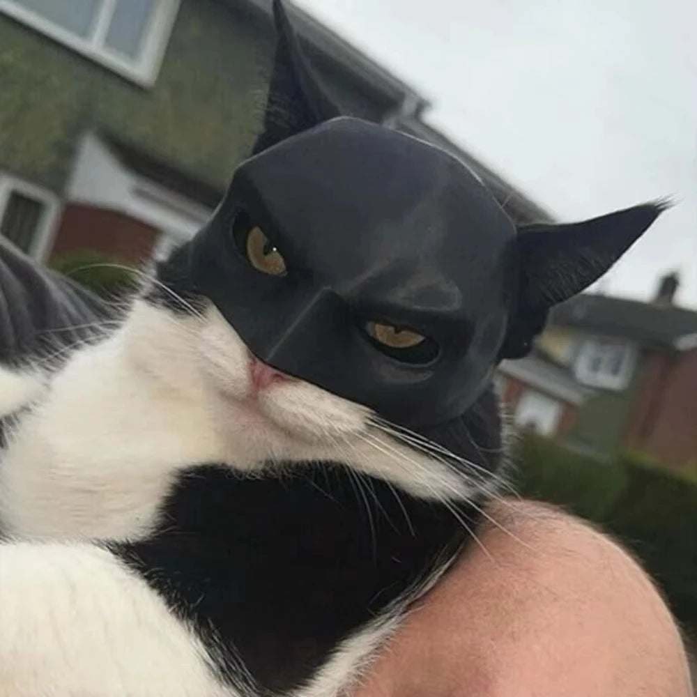 Batman Vengeance Pet Mask – Matte Black Cinematic Cowl for Cats | Geekzilla