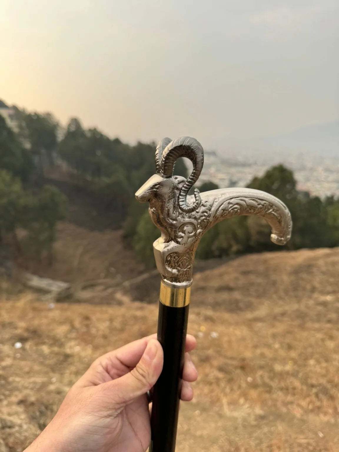 Premium Hidden Blade Sword Cane Collection – Tactical Walking Sticks