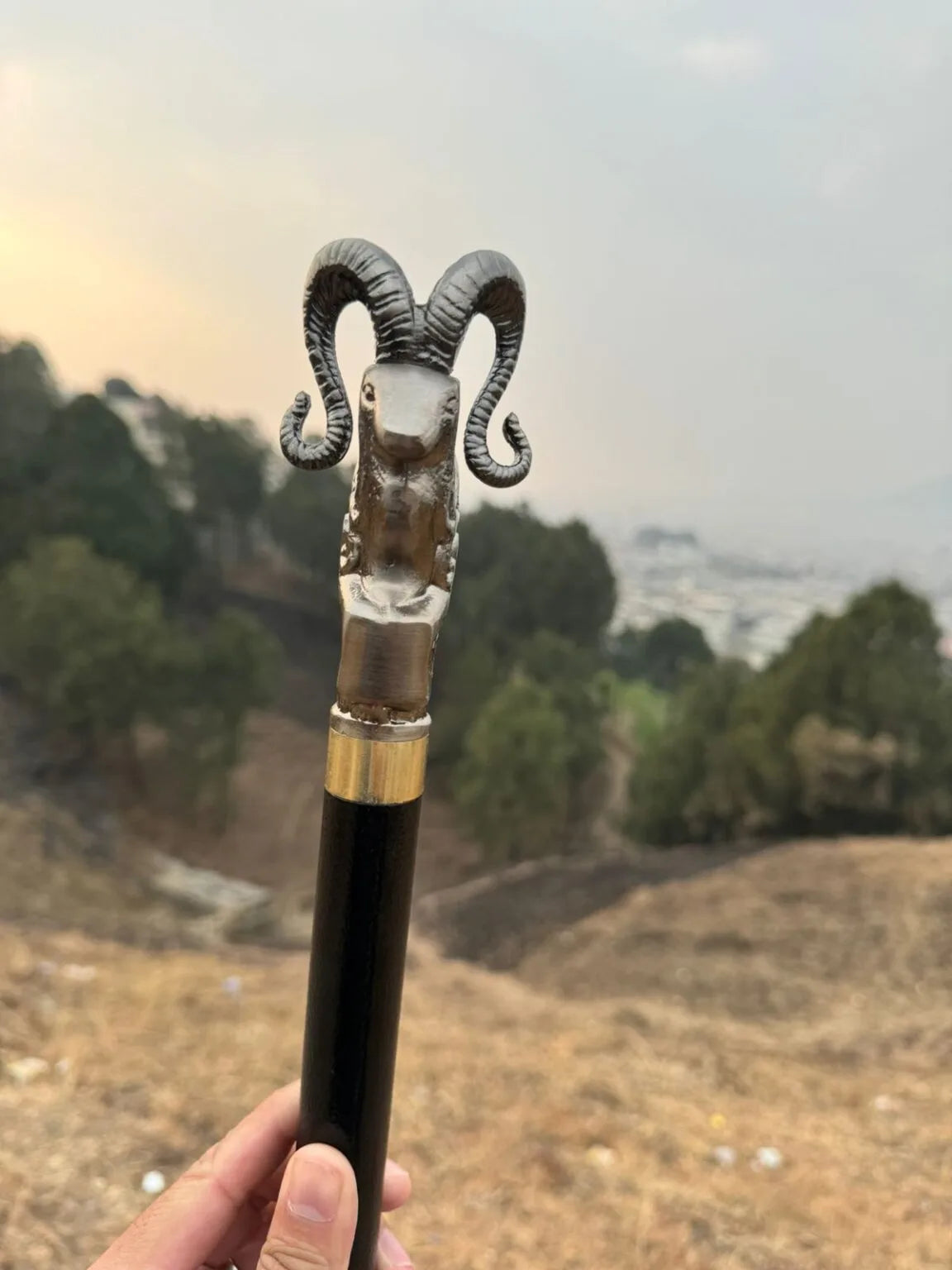 Premium Hidden Blade Sword Cane Collection – Tactical Walking Sticks