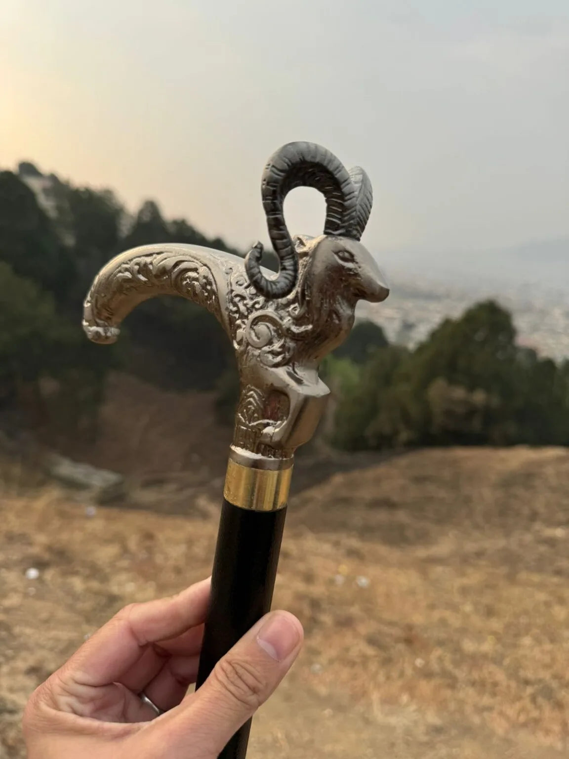 Premium Hidden Blade Sword Cane Collection – Tactical Walking Sticks
